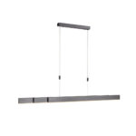 LED-HANGLAMP Pure-Moto 45 W 1560 lm 2200-5000 K 230 V thumbnail 1