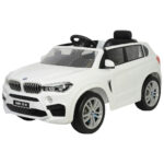 ACCUWAGEN BMW X5 thumbnail 1