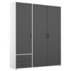 KAST MET KLASSIEKE DEUREN, grijs, wit