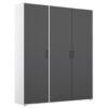 KAST MET KLASSIEKE DEUREN, grijs, wit