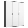 KAST MET KLASSIEKE DEUREN, grijs, wit