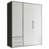 KAST MET KLASSIEKE DEUREN, grafietkleur, wit