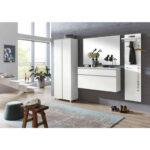 KAST MET KLEPPEN VOOR SCHOEN wit, zilverkleur thumbnail 2