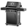 ROGUE GASGRILL