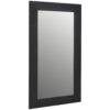 WANDSPIEGEL, 100/180/2,5 cm hout, glas