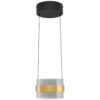 HANG-LED-LAMP Inside 22 W 2700 K 230 V
